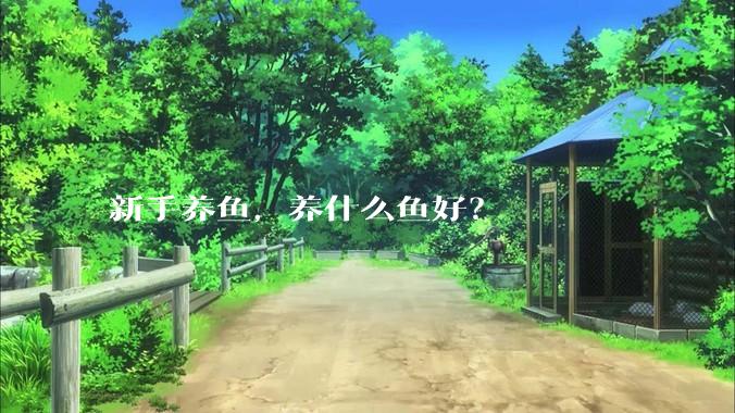 新手养鱼，养什么鱼好？