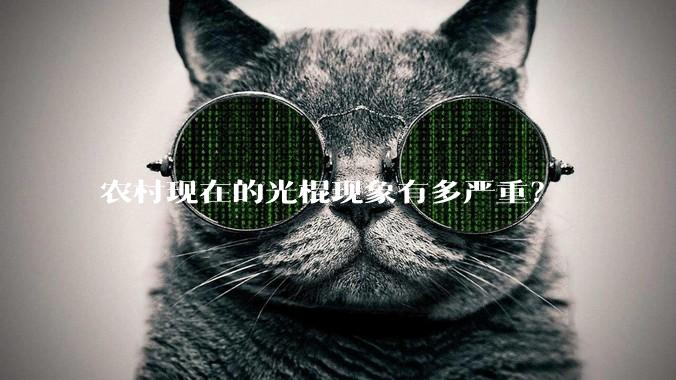 农村现在的光棍现象有多严重？