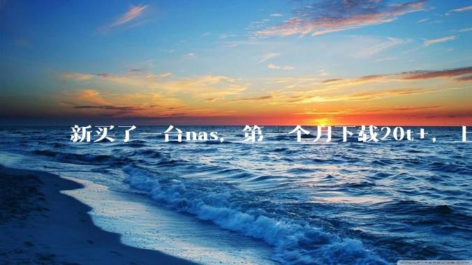 新买了一台nas，第一个月下载20t+，上传5+，不会被网警盯上吧?