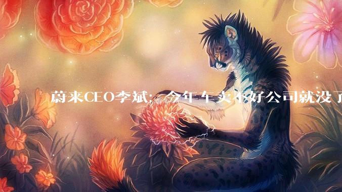 蔚来CEO李斌：今年车卖不好公司就没了_用户_车企_技术