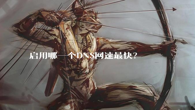 启用哪一个DNS网速最快？