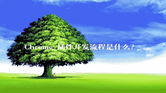 Chrome 插件开发流程是什么？