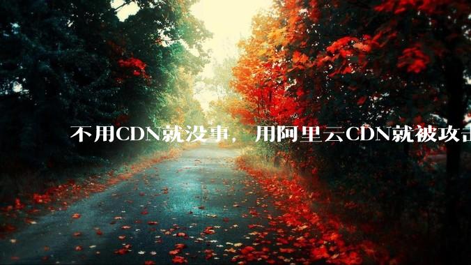 不用CDN就没事，用阿里云CDN就被攻击刷流量，阿里云表示证明不了就要用户买单，如何看到这种行为？