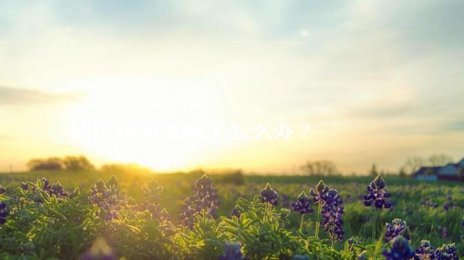 被传和领导睡了怎么办?