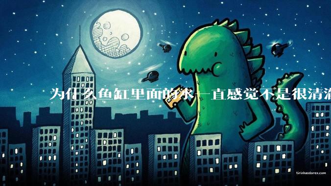 为什么鱼缸里面的水一直感觉不是很清澈呢？